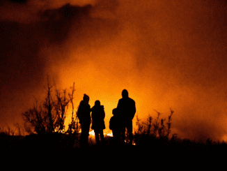 Being outdoors helps heal mental health after California’s wildfires in 2025, experts say.